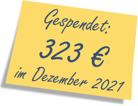 We donated: 323 EUR in December 2021.
