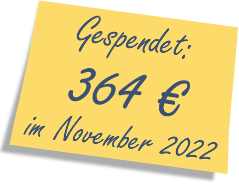 We donated: 364 EUR in November 2022.